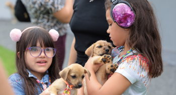 Programa novo da Semma e Assistência Social usa pets na terapia de pessoas com deficiência